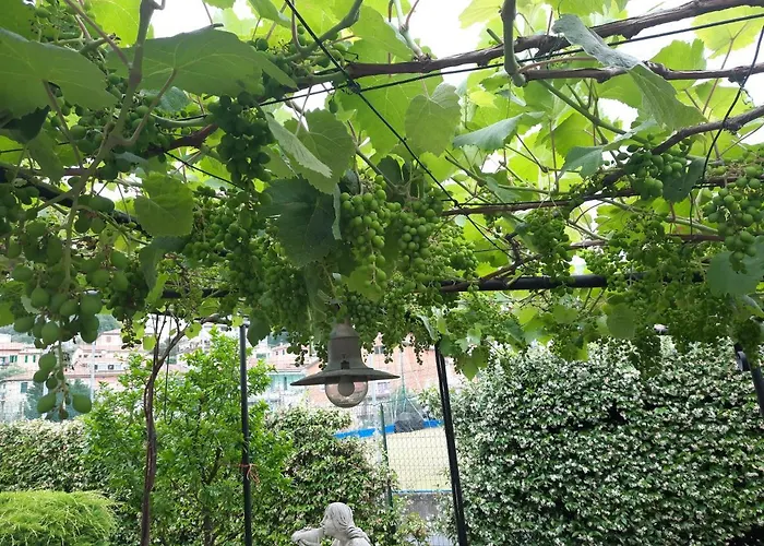 Alojamento de Acomodação e Pequeno-almoço La