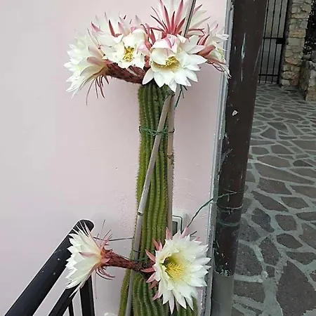 Отель типа 